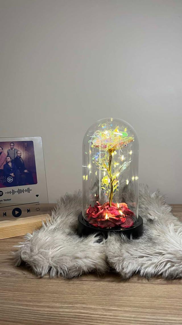 Led'li Sonsuzluk Gülü