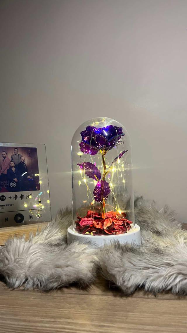 Led'li Sonsuzluk Gülü