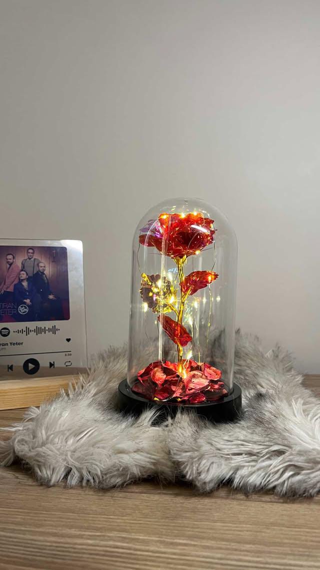 Led'li Sonsuzluk Gülü