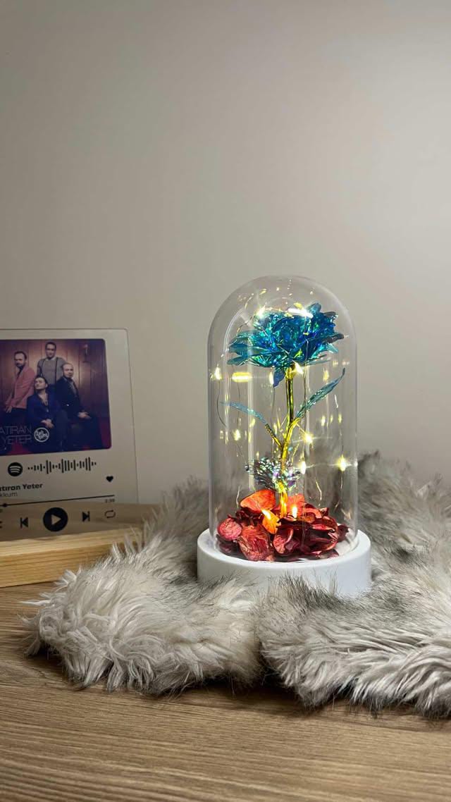 Led'li Sonsuzluk Gülü