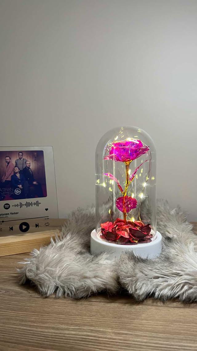 Led'li Sonsuzluk Gülü