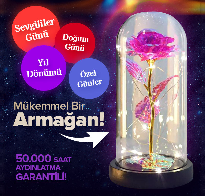 Led'li Sonsuzluk Gülü